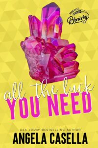 Book Cover: All the Luck You Need